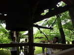 P6212556.JPG