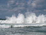 P9274355.jpg